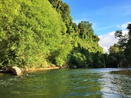 Just click on the location you desire for a postal. Rio Coihueco Bild Von Los Lingues Lodge Puerto Octay Tripadvisor