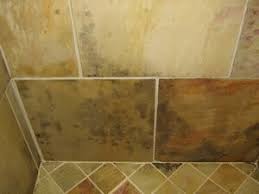 Maybe you would like to learn more about one of these? Mold In The Shower Causes How To Clean It Environix