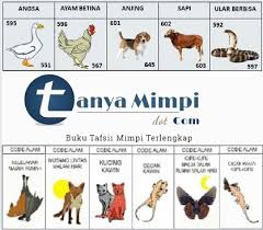 We did not find results for: Kode Alam Togel 2d Musang