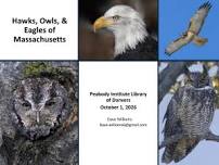 Hawks, Owls, and Eagles of Massachusetts