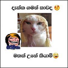Maybe you would like to learn more about one of these? Patta Wadan à¶´à¶§ à¶§ à·€à¶¯à¶± Official Group Facebook