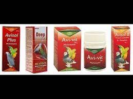 vitamin kullanimi muhabbet kusu youtube
