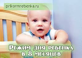 как приучить ребенка к горшку в 2 года видео Rezhim Dnya Rebenka 8 Mesyacev Malyshi Rebenok Detskie Sovety