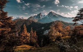 Pink and brown trees digital wallpaper, artwork, fantasy art. Watzmann Landscape Wallpaper Computer Wallpaper Desktop Wallpapers Laptop Wallpaper Desktop Wallpapers