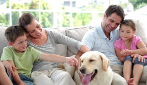 Give us a call today to take we have 30 years of pest control experience and exterminating services here in the northwest serving thousands of customers from homeowners. Reviews Mills Pest Termite Control Exterminator Pest Control Service Columbia Sc Pest Control In South Carolina Trustreviewers Com