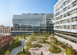 Maybe you would like to learn more about one of these? Toshiko Mori And Maya Lin Team Up On Boston Pharmaceutical Campus