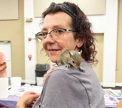 The Happenings 9.15.23 by 541 Marketing