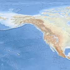 Image result for Galeomma