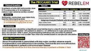 Image result for Procainamide