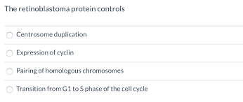 Check spelling or type a new query. Cyclin Dependant Protein Kinase Regulates Cell Chegg Com