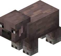 A group that includes older pigs is called a sounder or team. Minecraft Earth Mottled Pig Minecraft Wiki