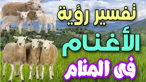والشخص الذي يرى في حلمه بأن قطيع البقر يلاحقه ويركض خلفه في المنام فإن رؤيته تشير الى التقدم في السنين والتي تكون مليئة بالنجاحات والإبداعات وتحقيق الأهداف والأمنيات والوصول الى المراد إن شاء الله تعالى، وقيل أيضاً بأن الشخص الذي يرى في حلمه قطيعاً من البقر الأبيض يلاحقه ويركض خلفه في المنام فإن رؤيته تشير الى الأموال والثروة التي يحصل عليها والغنى الذي يعيشه في حياته الواقعية وتشير أيضاً الى نجاح الأعمال والتجارة وتحقيق الربح الوفير. ØªÙØ³ÙŠØ± Ø±Ø¤ÙŠØ© Ø§Ù„Ø£ØºÙ†Ø§Ù… ÙÙ‰ Ø§Ù„Ù…Ù†Ø§Ù… Ù…Ø§ Ù…Ø¹Ù†Ù‰ Ø±Ø¤ÙŠØ© Ø§Ù„ØºÙ†Ù… ÙÙ‰ Ø§Ù„Ø­Ù„Ù… Youtube
