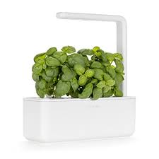 Many gardeners enjoy growing herbs outside during the summer months, but winter temperatures will kill them off for a while. Best Indoor Garden Kits 2021 Mr Gadget