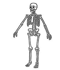 Check spelling or type a new query. Printable Skeleton Coloring Pages Coloringme Com