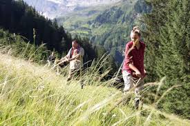 Valsertal (graubünden) — das valsertal liegt im schweizerischen kanton graubünden. Valsertal Die Schule Der Alm Escape Town