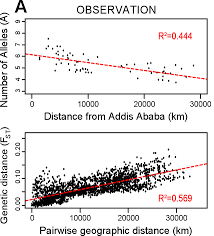 Isolation By Distance Wikipedia