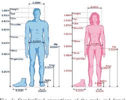 This has the male and female reproductive organs. Figure 3 From A Lower Limb Exoskeleton With Hybrid Actuation Semantic Scholar
