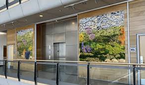 Thoughts from the President