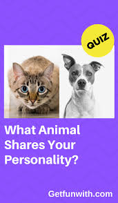What Animal Shares Your Personality Animals What Animal Are You Fun Quiz