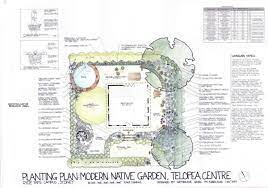 Services Mallee Design Australian Native Garden Australian Garden Design Australian Native Plants
