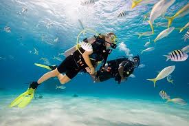 Bali Scuba Diving For Beginner 2021 Tanjung Benoa
