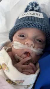 Waylon Charles Brown Obituary (2024)