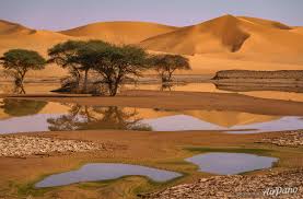 We did not find results for: Sahara Desert Aerial View