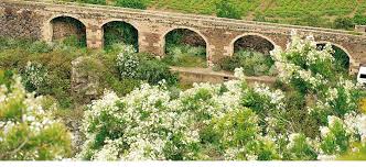 Ruhige finka, ideal zum wandern. Jardin Botanico Viera Y Clavijo Gran Canaria Museums And Tourist Attractions