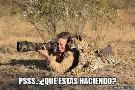 Como consultor de empresas, experto en negocios y una persona preocupada por lo que pasa. Que Estas Haciendo Risa Sin Mas
