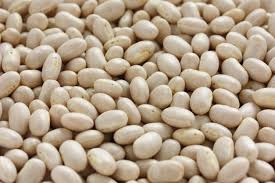 Maybe you would like to learn more about one of these? Dry Shell Beans Tips On Growing Navy Beans In The Garden