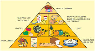 balanced diet information sheet children for health