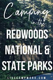 Restaurants near redwood national park. Camping In The Redwoods Live Camp Work