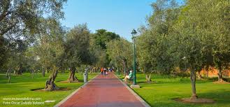 Un paisaje de olivar vinculado a una explotación olivarera pionera construida entre los siglos xviii y xix. Bosque Olivar De San Isidro Museos De Lima