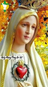 Who could know God, if it were not for you, most holy Mary? Who could be  saved? Who would be preserved from dangers? Who would receive any grace, if  it were not