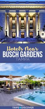 Top 8 Hotels Near Busch Gardens Tampa Busch Gardens Tampa Busch Gardens Tampa Hotels