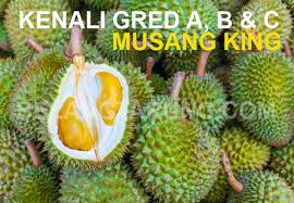 Ini asal usul dan ciri durian musang king yang tersohor lezat rasanya. Kenali Gred A B C Durian Musang King Raja Kunyit Supaya Tidak Tertipu Dengan Harga Yang Mahal Some Bullet For Your Head