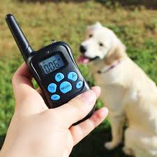 If slap on the collar and begin shocking your dog for everything, this will prove to be ineffective. Mockins Remote Dog Training Collar Review An Entry Level Model