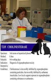 The seven ops are chlorpyrifos, dichlorvos, phosmet, naled, tetrachlorvinphos, diazinon and malathion. Why Are My Dog Or Cat S Cholinesterase Blood Levels Low Or High