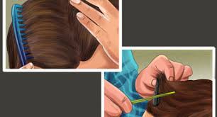 I will show you to how cut your hair, tapper the front, and add layers! How To Cut Long Hair Short 14 Steps With Pictures Wikihow