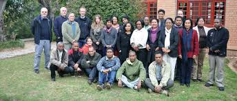 Image result for Mesanthemum glabrum