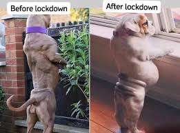 Before Vs After Lockdown - Coronavirus Meme - Shut Up And Take My ...
