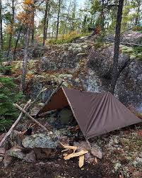 In 2015 a study concluded: Pin On Survival