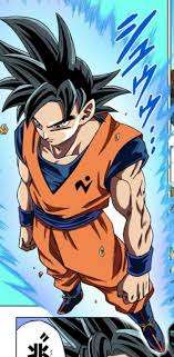 Some of these categories can be list as anime characters pfp. Ultra Instinct Sign Dragon Ball Wiki Fandom