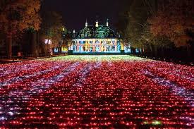 Zigtausende Lichter Machen Den Schlosspark Pillnitz In Dresden Nun Wieder Zum Zaubergarten Weihnachtsgarten Zaubergarten Botanischer Garten Berlin