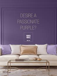 colorfully behr purple color categories