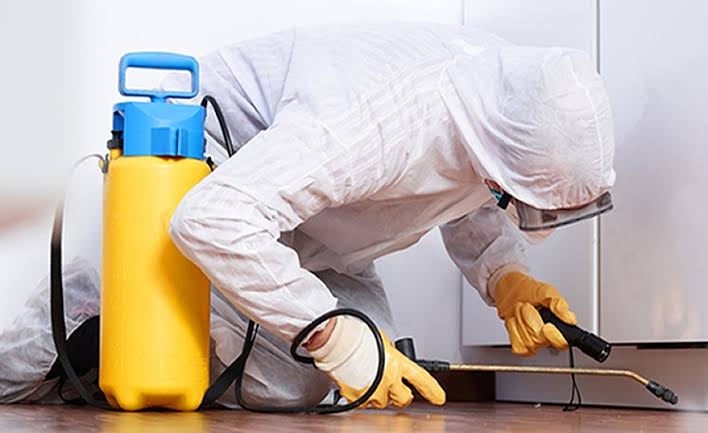 Rodent Proofing