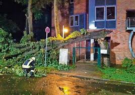 Pottenstein liegt im zentrum der fränkischen schweiz, einem wandergebiet in oberfranken, das durch seine höhlen und burgen. Hildburghausen Unwetter Mit Sturmboen Warf Baume Um Region Insudthuringen