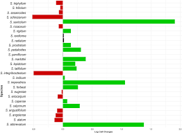 Image result for Sesamum parviflorum