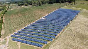 Anuário de investimentos 2021 - Panvel e GreenYellow anunciam investimento  em duas usinas fotovoltaicas em Sentinela do Sul
