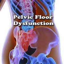 Pin On Pelvic Floor